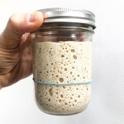 My Sourdough Starter