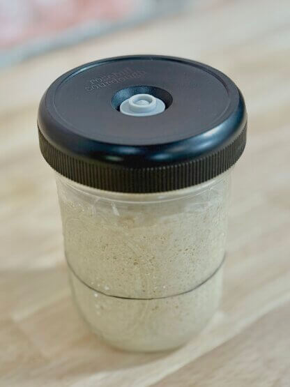 Starter Lids - Image 6